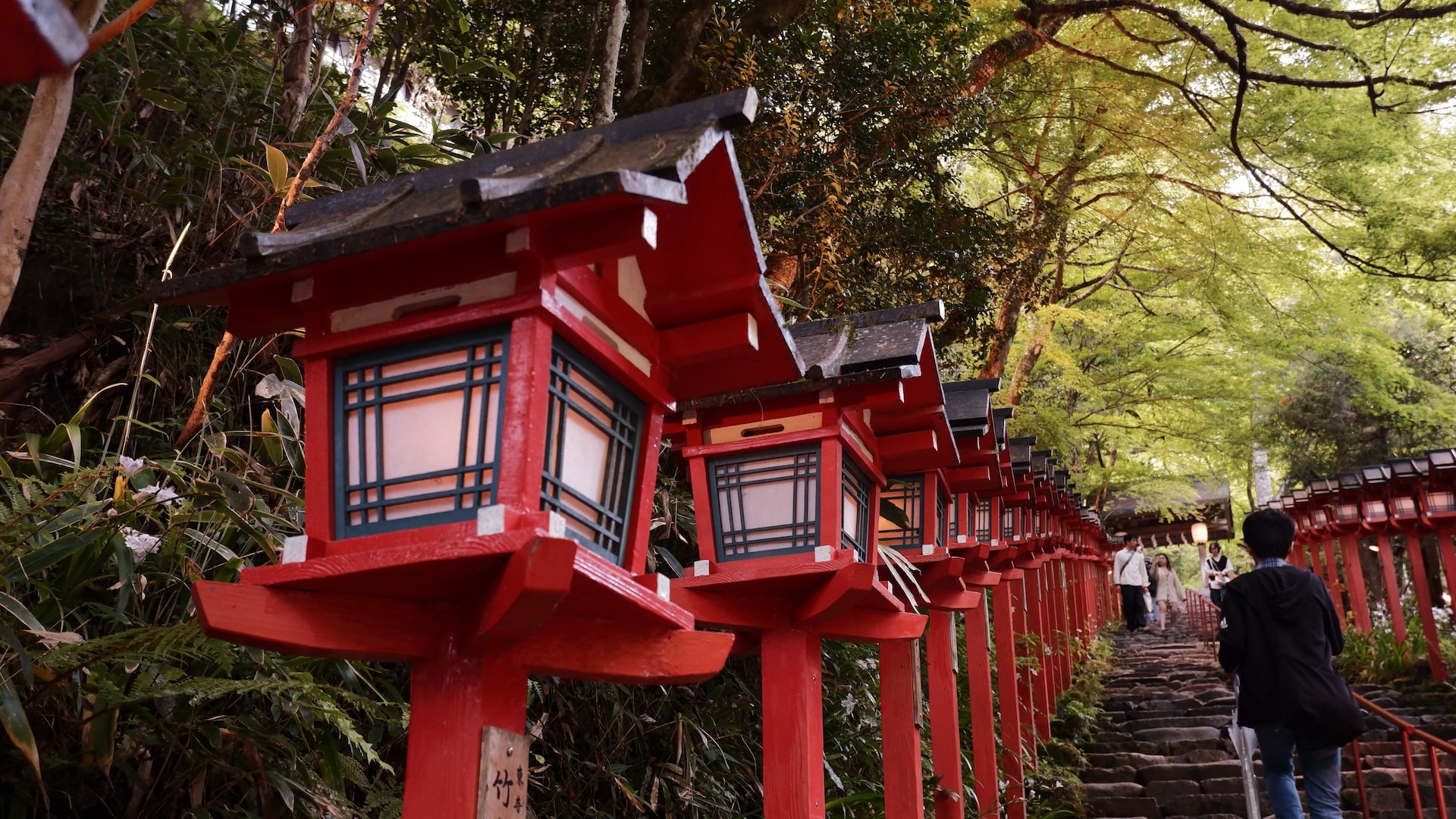 贵船神社的长夜灯