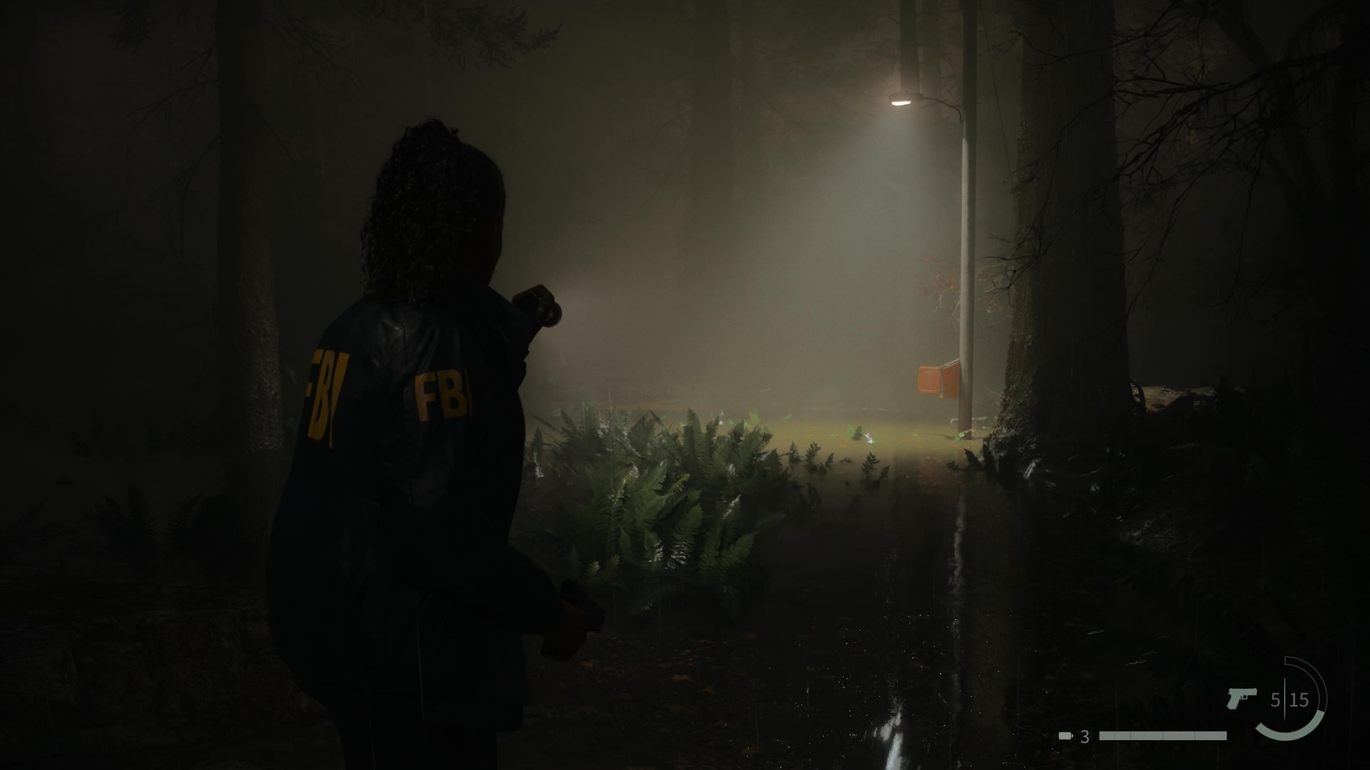 Alan Wake II 01